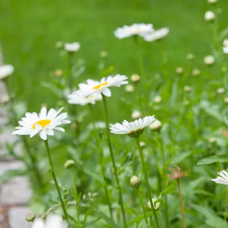 Stadthaus Juergensby Διαμέρισμα Φλένσμπουργκ