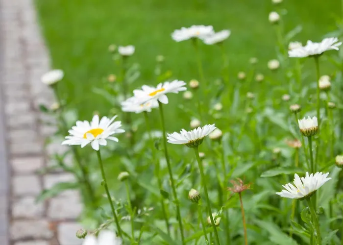 Stadthaus Juergensby شقة فلنسبورغ